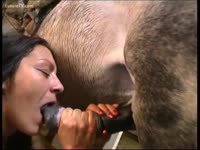 Busty receives dog creampie and collected its semen